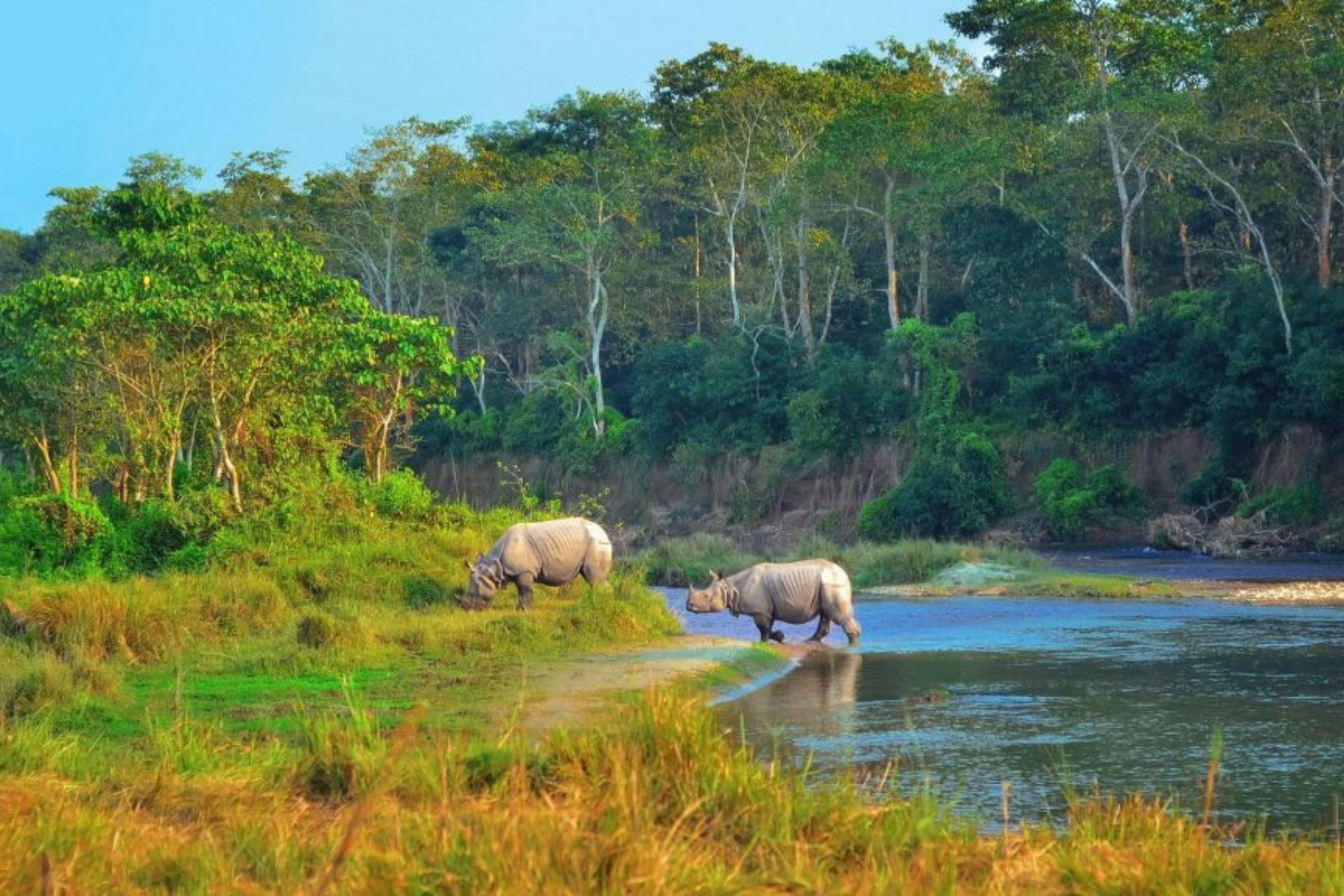 Wildlife & Nature Exploration